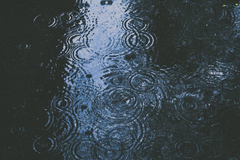 荷兰持续降雨两周！Linge周围的地窖和棚屋发生洪水