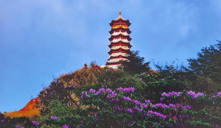从“最美贫困”到世界范例——海外华文媒体点赞巴山大峡谷：文旅融合绘就共富新图景